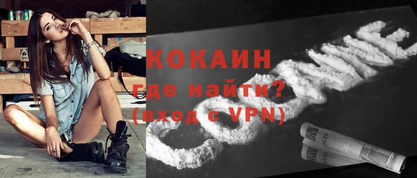 молекула духа Богданович