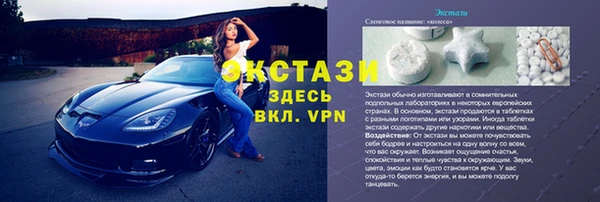 молекула духа Богданович