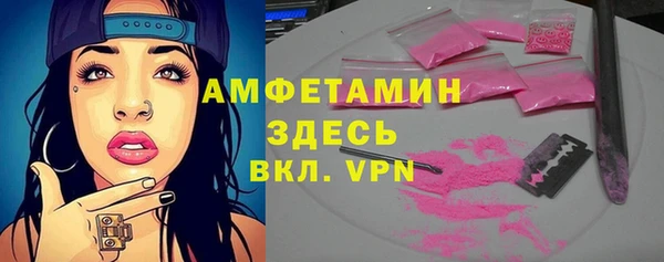 молекула духа Богданович