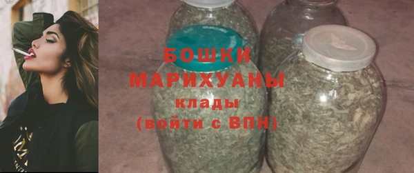 молекула духа Богданович