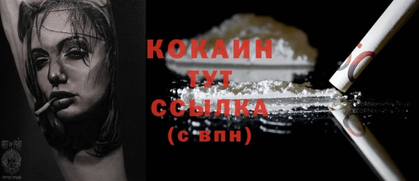 молекула духа Богданович
