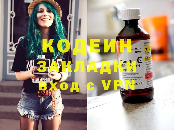 молекула духа Богданович