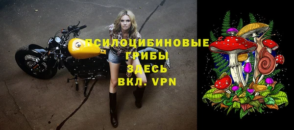 молекула духа Богданович