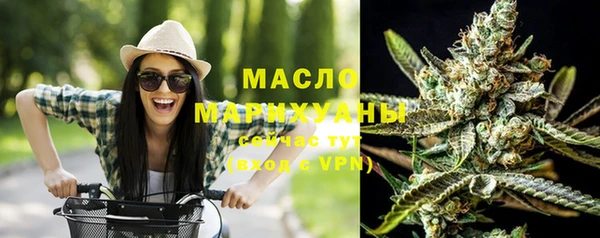молекула духа Богданович