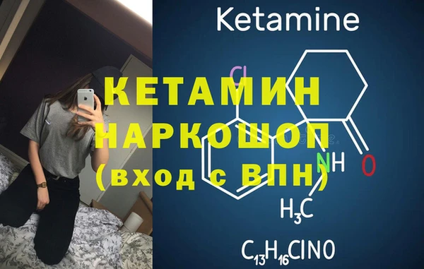 молекула духа Богданович