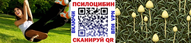 Псилоцибиновые грибы Cubensis kraken онион Новокузнецк